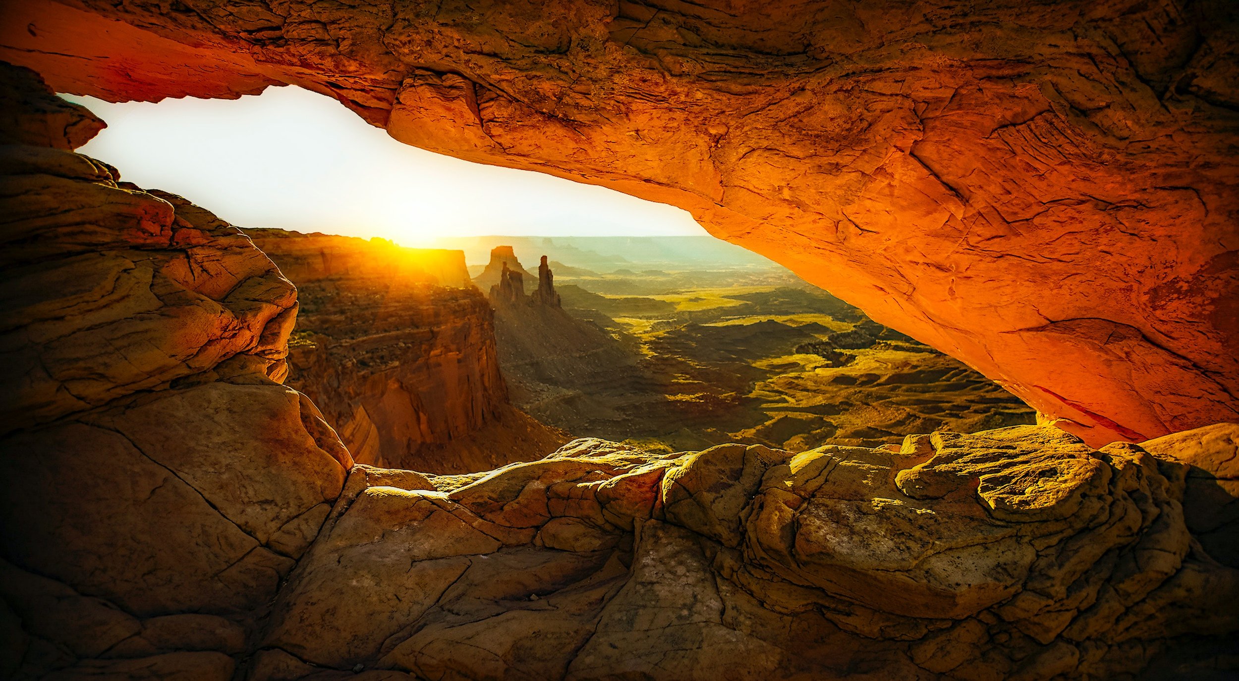 Mesa Gold by Utah Print Vault