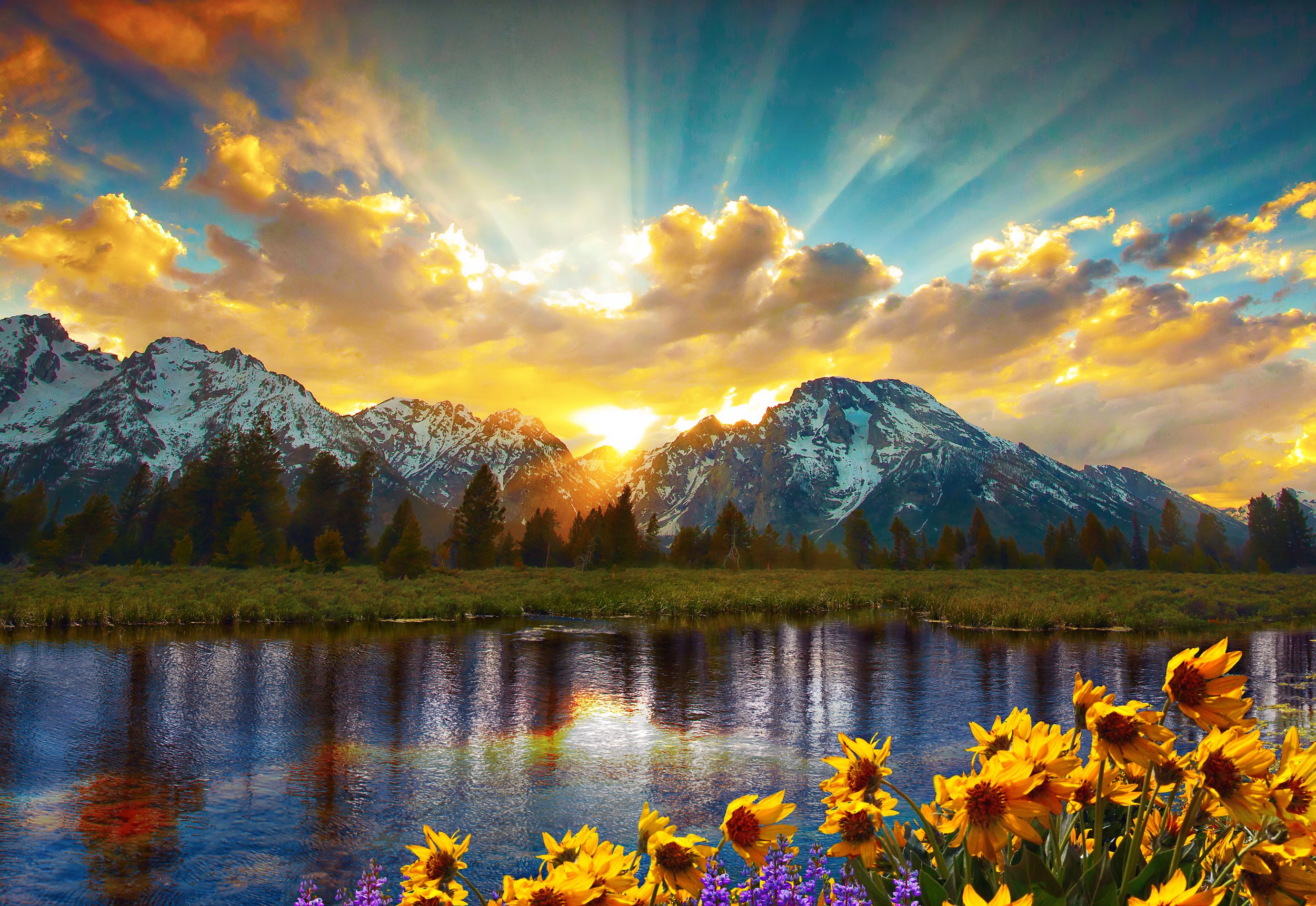 Sunflowers and Tetons by Utah Print Vault