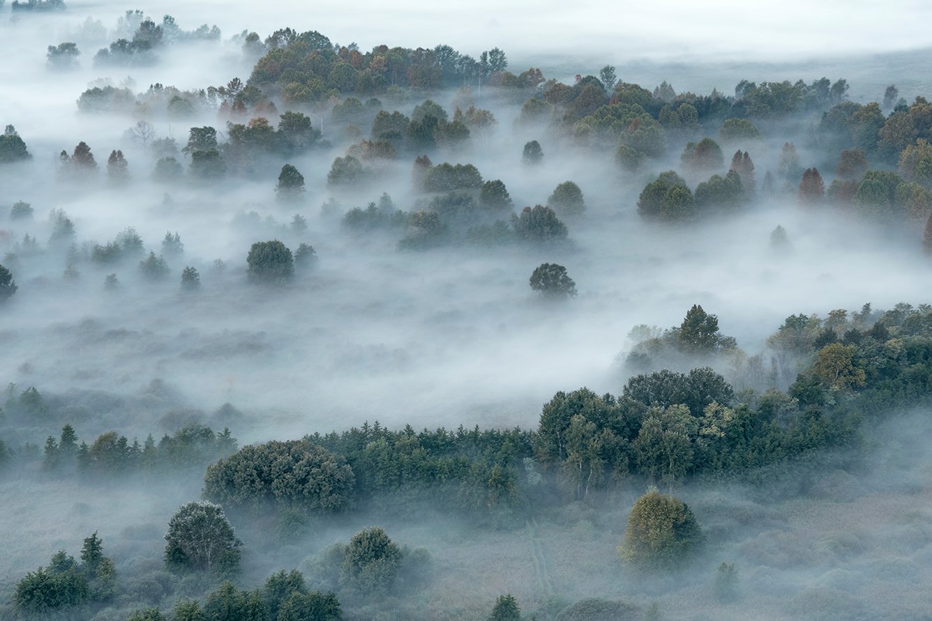 Fogging by Utah Print Vault