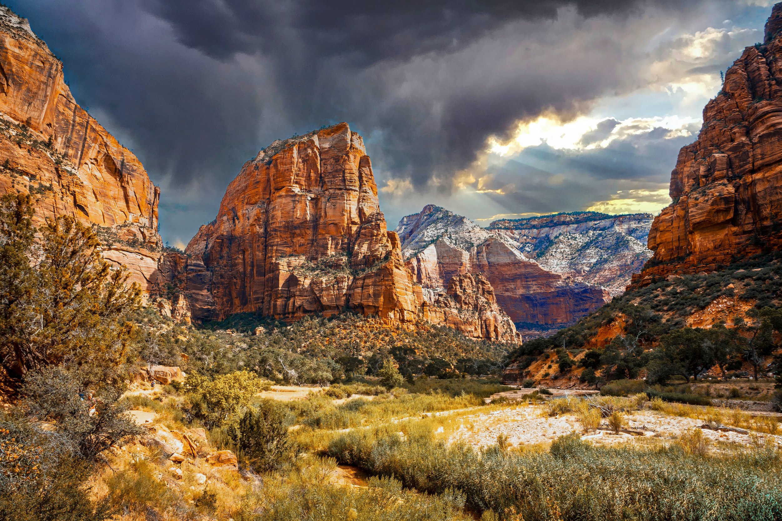 Winter Gold by Utah Print Vault