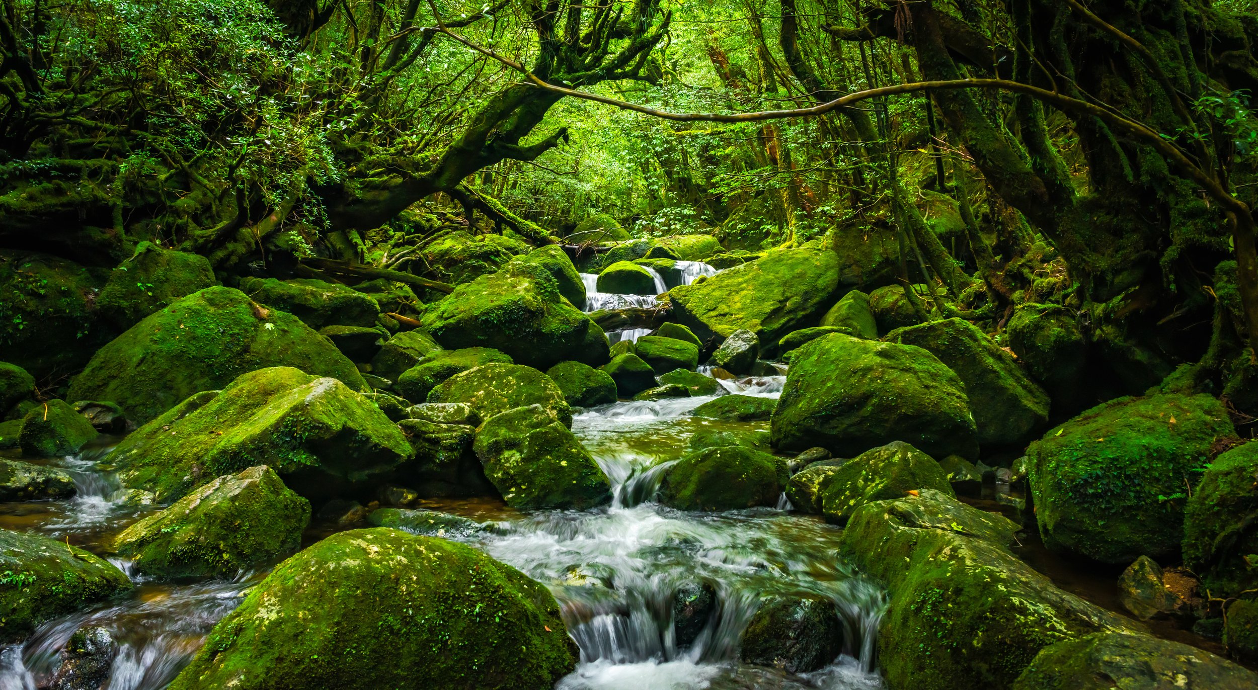 The Trickle by Utah Print Vault