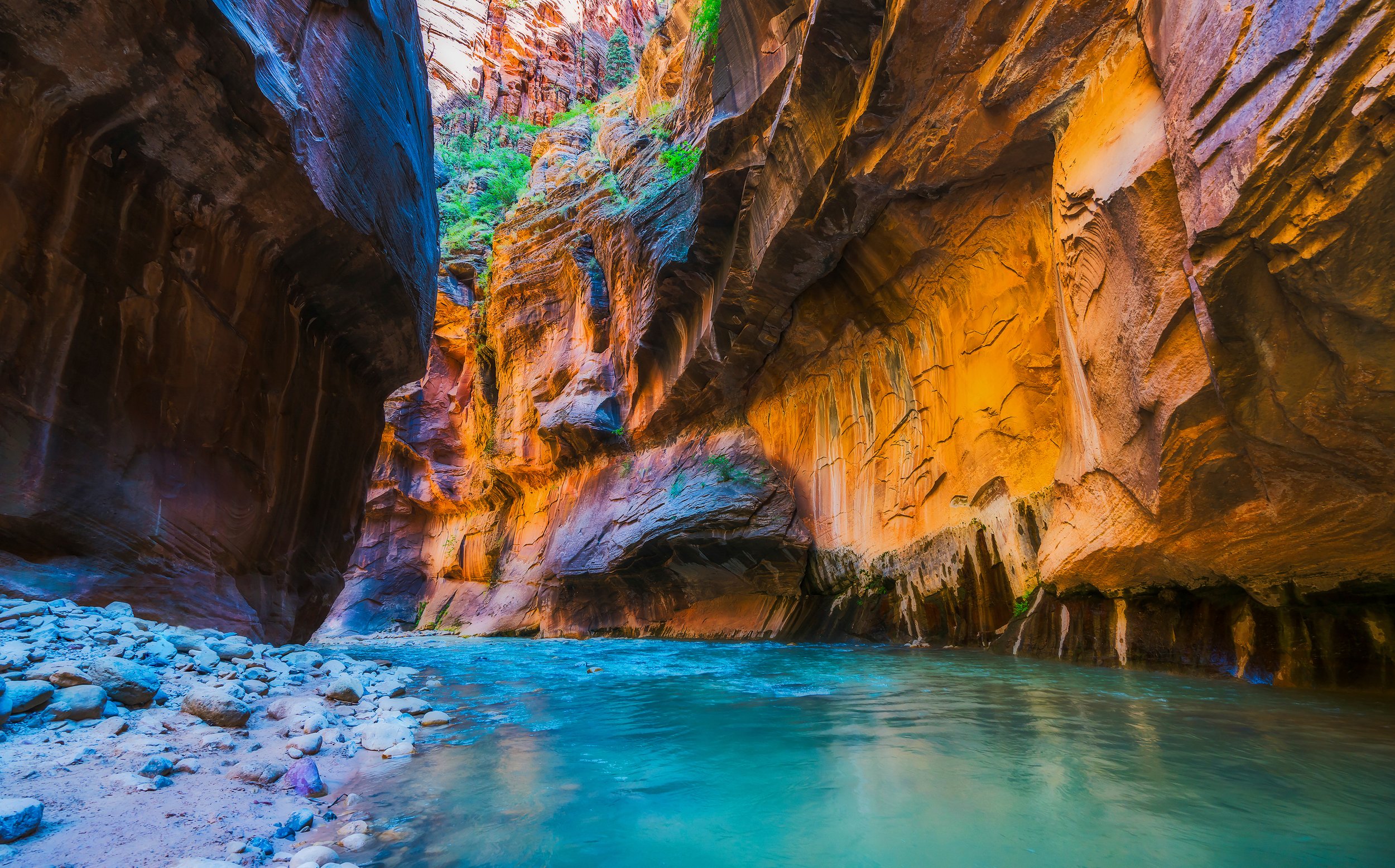 THE NARROWS by Utah Print Vault