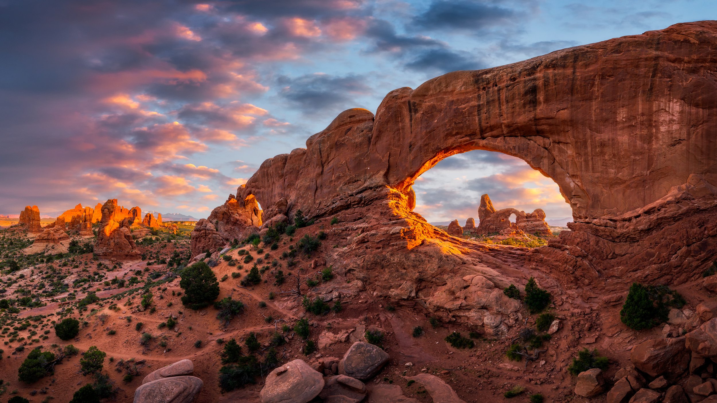Holey Moley by Utah Print Vault