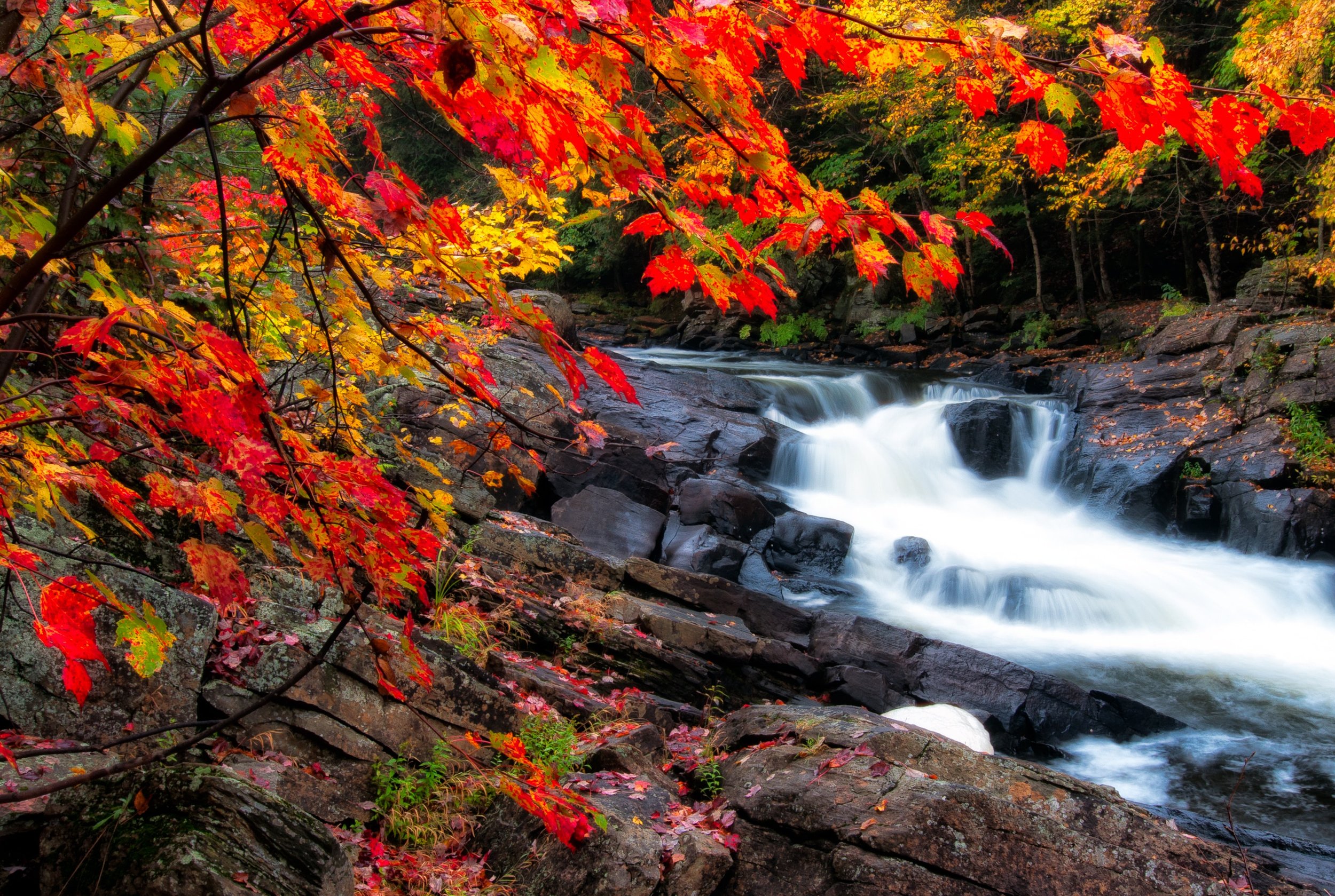 Falls Falls by Utah Print Vault