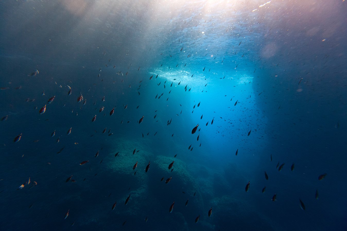 Deep Dive by Utah Print Vault